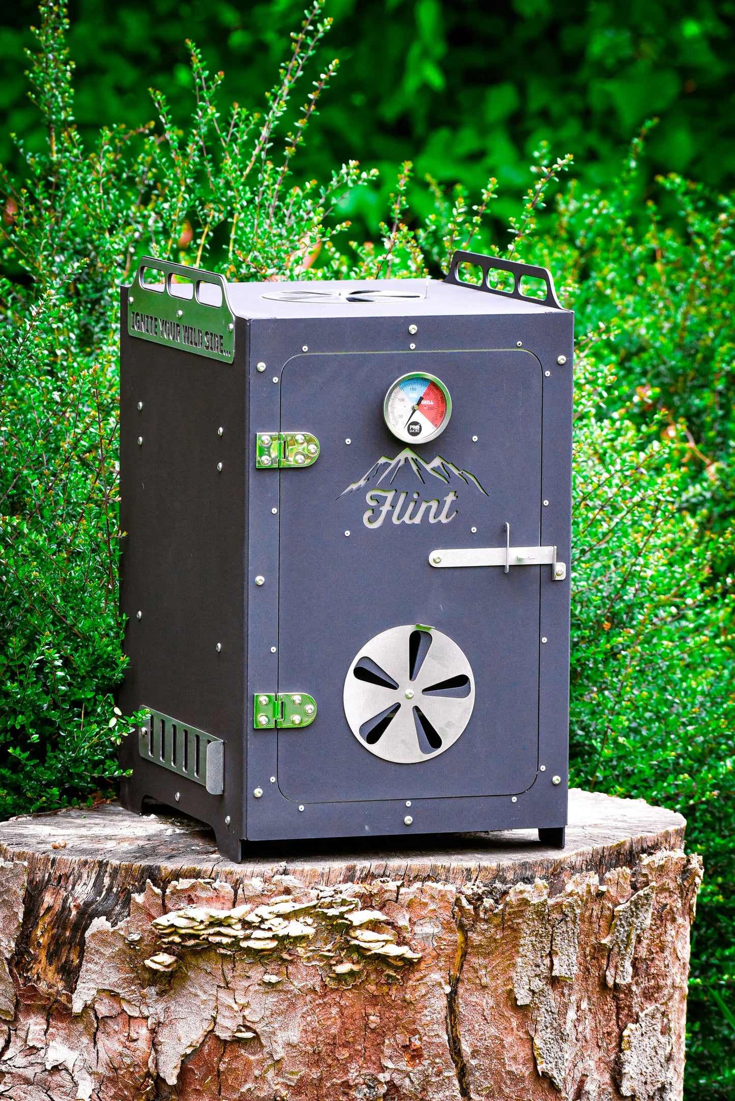 All-in-one Smoker / BBQ oven