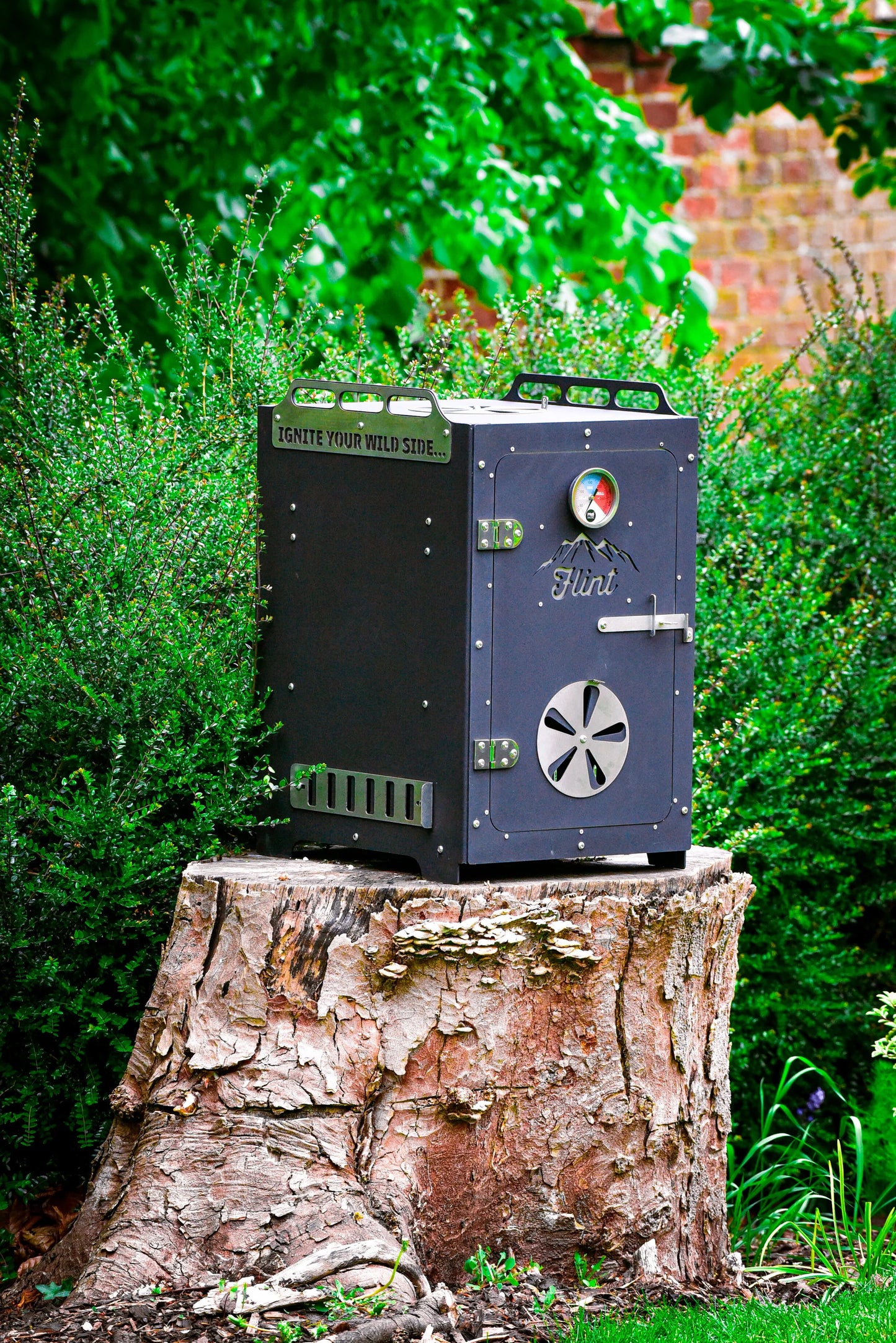 All-in-one Smoker / BBQ oven